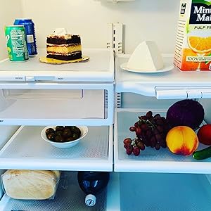 Fridge Shelves