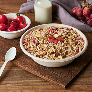 disposable bowls 32oz