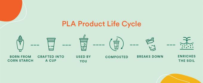 Lifecycle