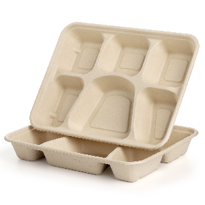 5 Kompact Snack Food Tray Cukier trzciny bagasse talerze jednorazowe talerze przyjazne dla środowiska białe naturalne talerze bagasse 1