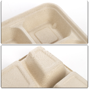 5 Kompact Snack Food Tray Cukier trzciny bagasse talerze jednorazowe talerze przyjazne dla środowiska białe naturalne talerze bagasse 2