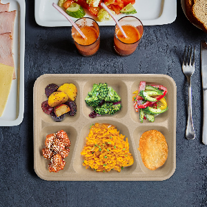 5 Kompact Snack Food Tray Cukier trzciny bagasse talerze jednorazowe talerze przyjazne dla środowiska białe naturalne talerze bagasse 3