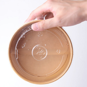 Ly-KraftSaladBowl-Lid-25oz50P