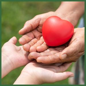 charity camaign food Pack