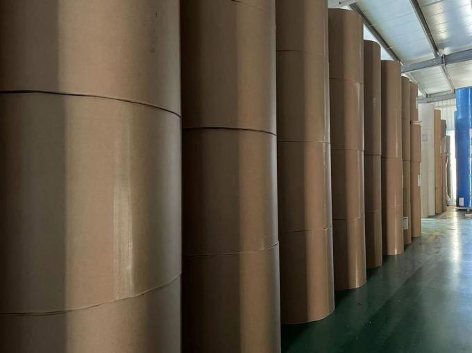 Fabryka Greaseproof Waterproof Single Double Wall PE powlekany Kraft Paper Roll Żywność Stopień surowiec do papierowej filiżanki 3