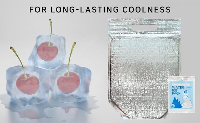 izolowany worek do lunchu z zamkiem i uchwytem, wielokrotnie używalne torby chłodnie i cieplne, torebka chłodniejsza, gorąca i zimna, idealna do kanapki 12