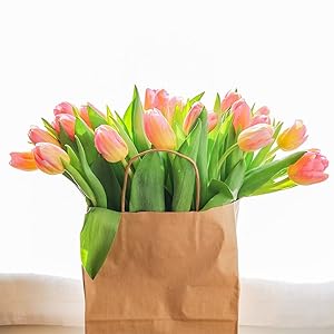 Kraft Paper Bags Recyclable Brown Wine Bags Paper Gift Bags Retail Bags Shipping Bags