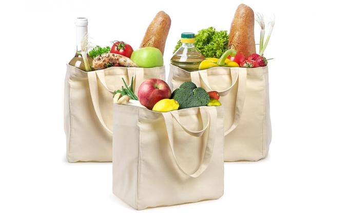 Canvas Grocery Tote Bags with Bottle Sleeves
