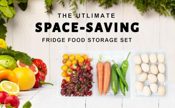 Food Storage-4PACKS-4