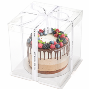 Clear Cake Box with Ribbon, 2-Layer Tall Cake Packaging Boxes 8x8x9 Inch, PET Cake Carrier Transport Container for Tiered Cakes, Transparent Gift Display Boxes with Lid for Birthday Party 2